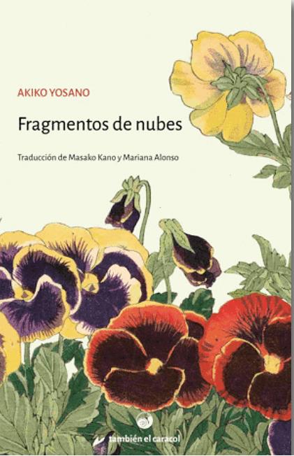 Fragmentos de nubes